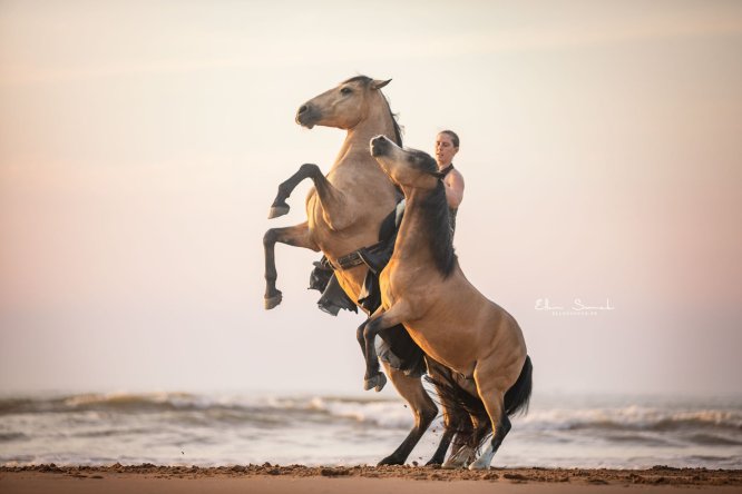EllenSonckPhotography-paardenfotografie-strand-43