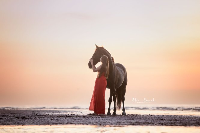 EllenSonckPhotography-paardenfotografie-strand-52