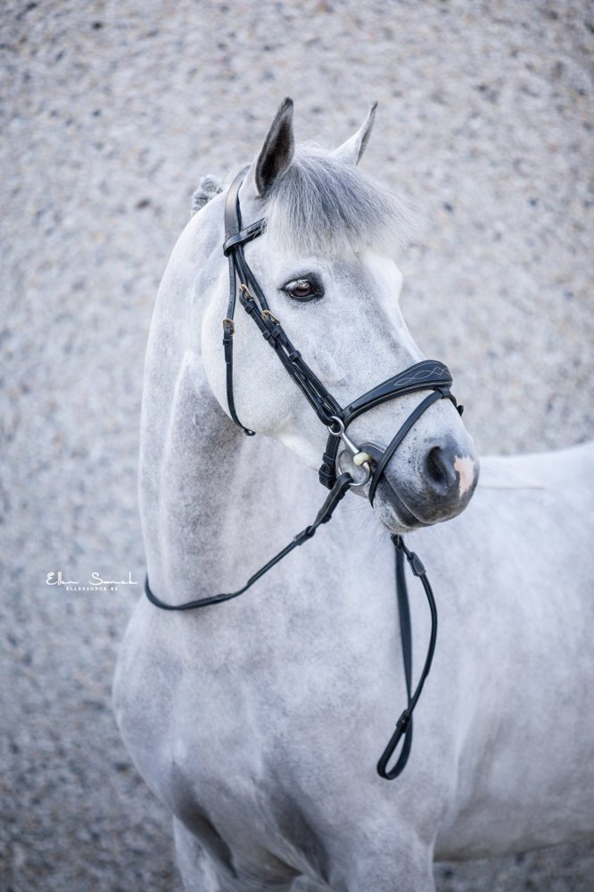 EllenSonckPhotography-Paardenportret-paardenfotografie-portfolio-7