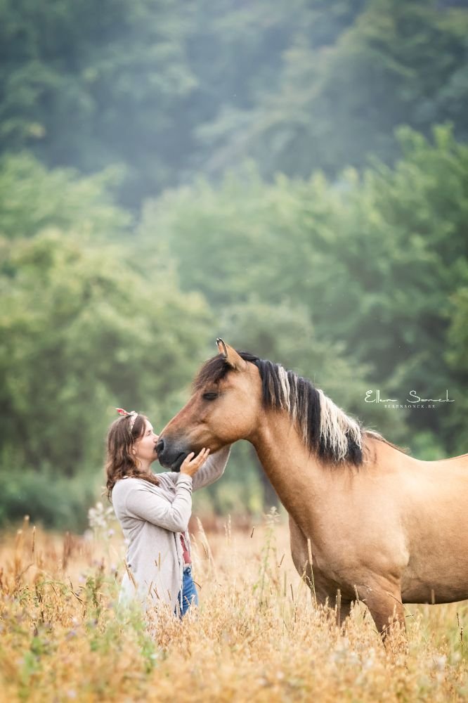 Mathilde-paard-zomer