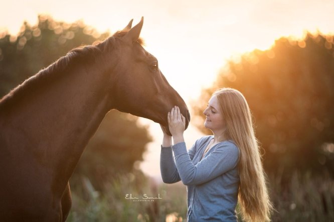 Phyllis-zonsopgang-zomer-paard